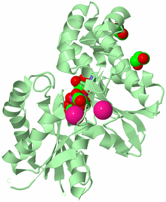 Image Biological Unit 2