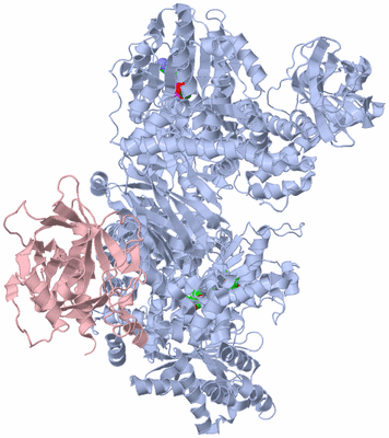 Image Asym./Biol. Unit