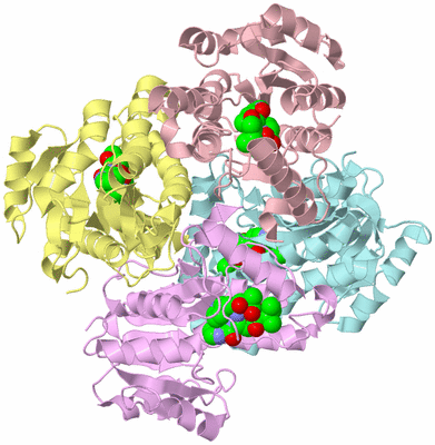 Image Biological Unit 1