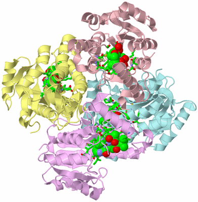 Image Biol. Unit 1 - sites