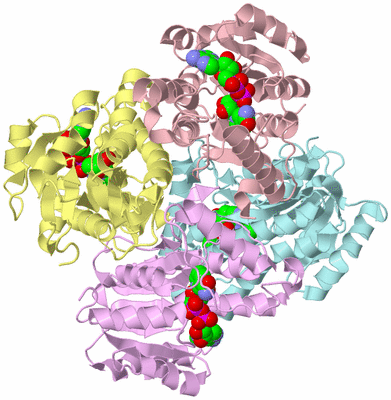 Image Biological Unit 1