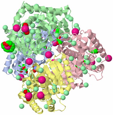 Image Biological Unit 1