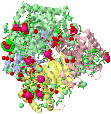 Image Biol. Unit 1 - sites