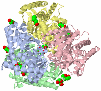 Image Biological Unit 1