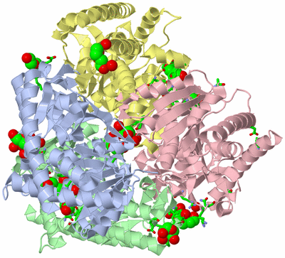 Image Biol. Unit 1 - sites