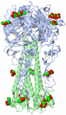 Image Biological Unit 1