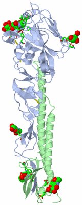 Image Asym. Unit - sites