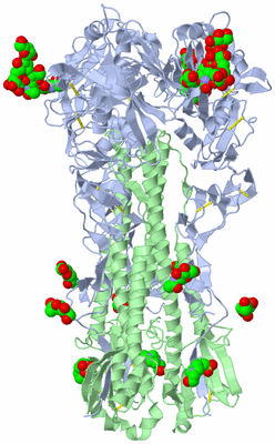 Image Biological Unit 1