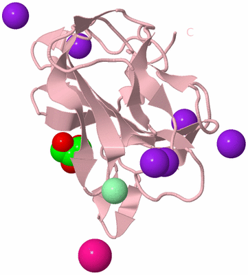 Image Biological Unit 3