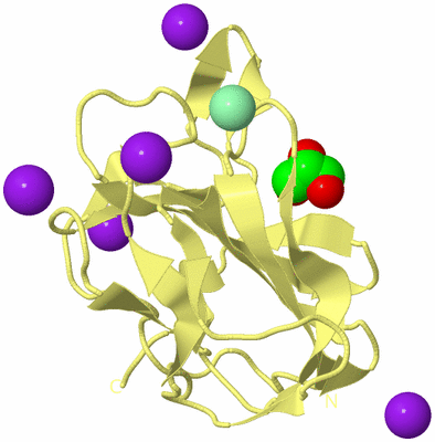 Image Biological Unit 4