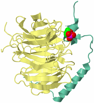 Image Biological Unit 1