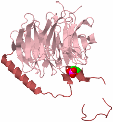 Image Biological Unit 4