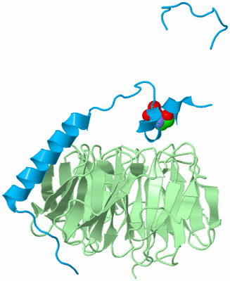 Image Biological Unit 5