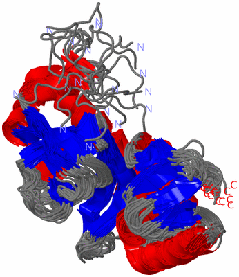 Image NMR Structure - all models