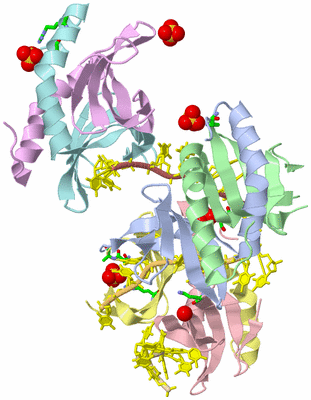 Image Asym./Biol. Unit - sites