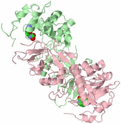 Image Biological Unit 2