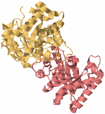 Image Biological Unit 2