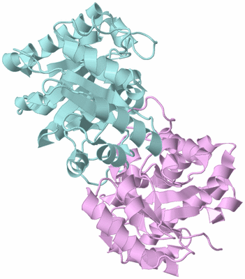 Image Biological Unit 3