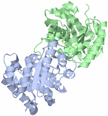 Image Biological Unit 4