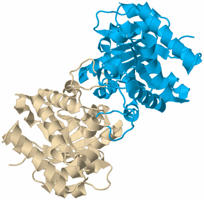 Image Biological Unit 7