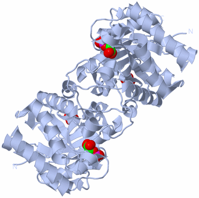 Image Biological Unit 1