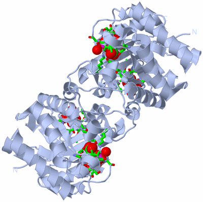 Image Biol. Unit 1 - sites