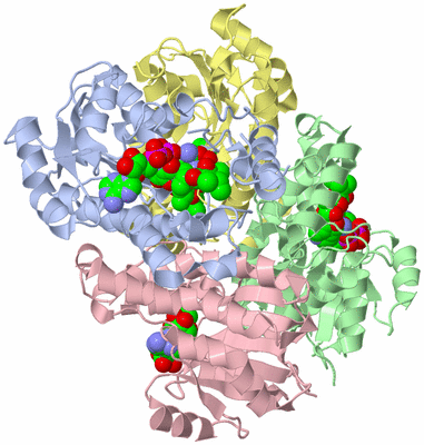 Image Asym./Biol. Unit