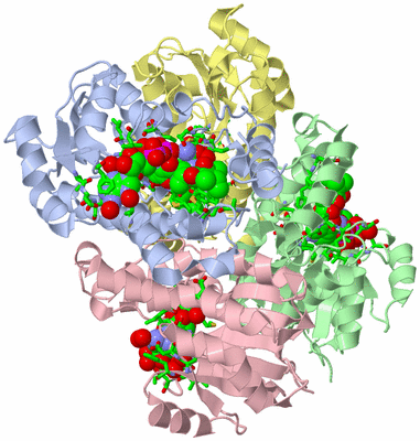 Image Asym./Biol. Unit - sites