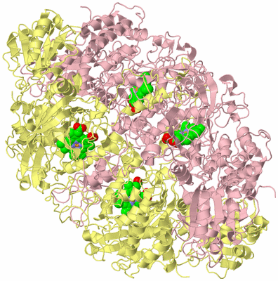 Image Biological Unit 2