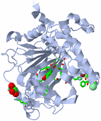 Image Biol. Unit 1 - sites