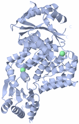 Image Biological Unit 1