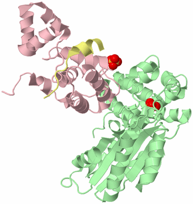 Image Biological Unit 1