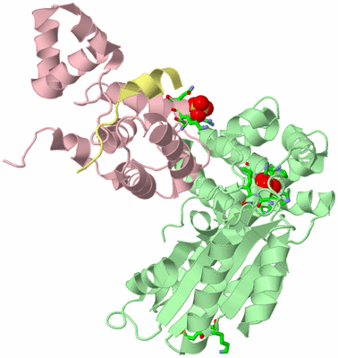 Image Biol. Unit 1 - sites