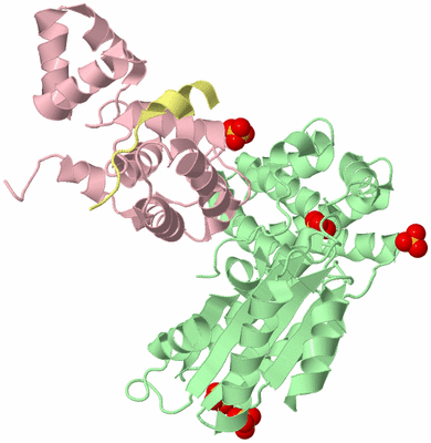 Image Biological Unit 1