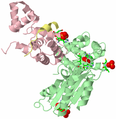 Image Biol. Unit 1 - sites