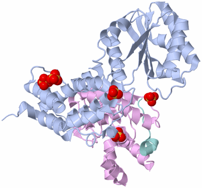 Image Biological Unit 2