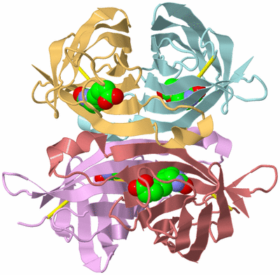 Image Biological Unit 1