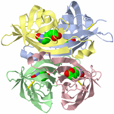 Image Biological Unit 2