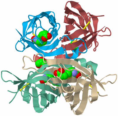 Image Biological Unit 3