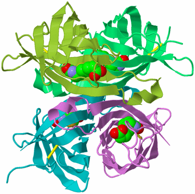 Image Biological Unit 4