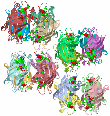 Image Asym. Unit - sites