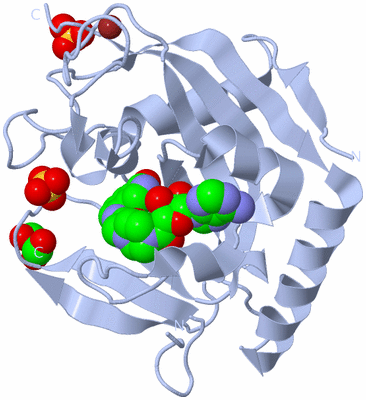 Image Biological Unit 1