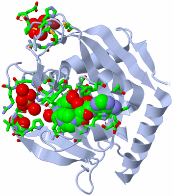 Image Biol. Unit 1 - sites