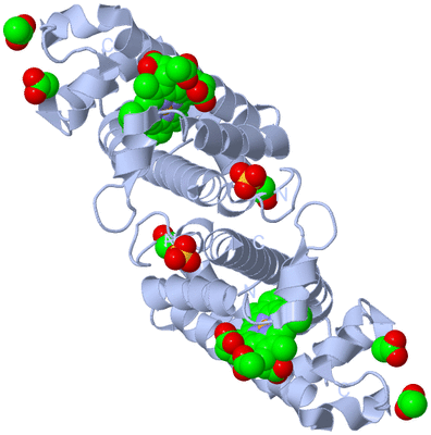 Image Biological Unit 1