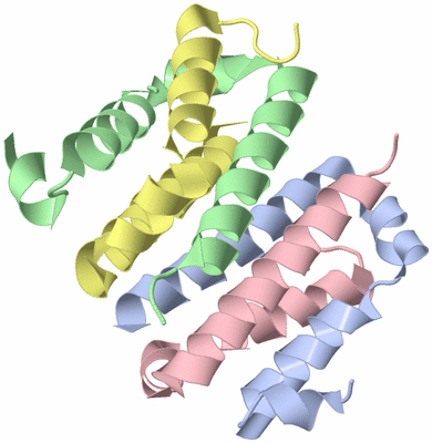 Image Asym./Biol. Unit