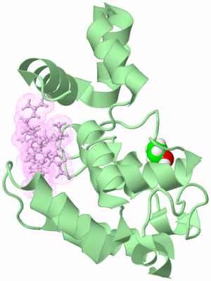 Image Biological Unit 3