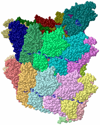 Image Asym./Biol. Unit