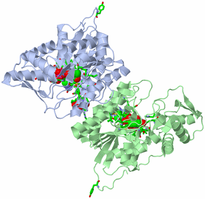 Image Biol. Unit 1 - sites