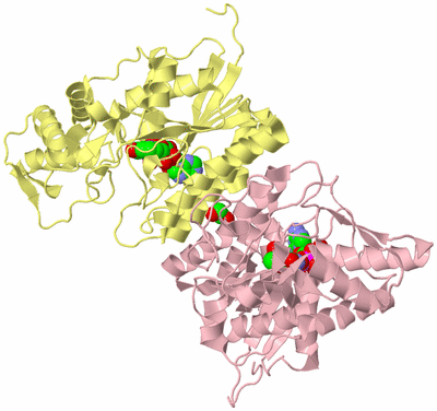 Image Biological Unit 2