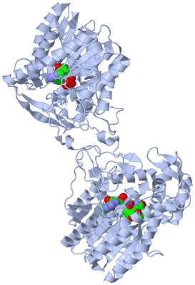 Image Biological Unit 1